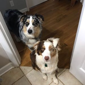 Meet your Posher, Rachel